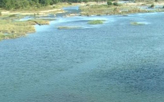 rio nizaoREC